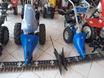 تنوع مدل